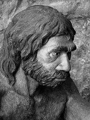 Portrait of Neanderthal Man (detail of diorama)