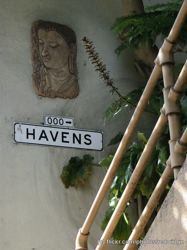 Havens__sigh