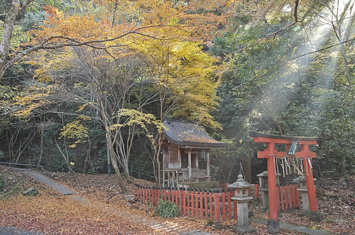 【写真】紅葉 : 若王子神社