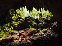 Rio Camuy Caves