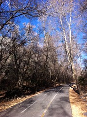 November 9, 2012 b (Provo River Trail/Provo Canyon)