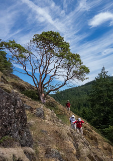 On the Ramparts - Sooke Mountain Provincial Park