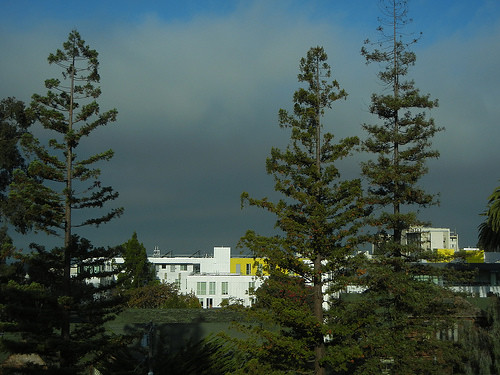 DSCN9205 _ Foggy Morning, Berkeley, CA