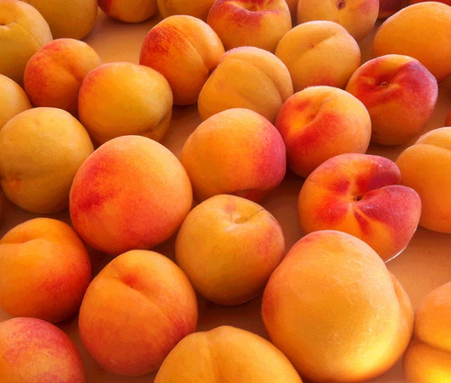 Eastern Peaches (Posterized) by randubnick