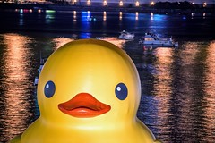 Giant Duck in Pittsburgh