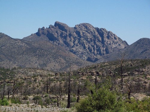Mountains from the burned section of the Big Balanced Rock Trail, Chiricahua National Monument, Arizona