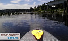 Stand Up Paddleboarding in Bellevue