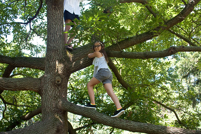 Kids Climbing Trees