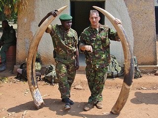 剛果加蘭巴國家公園查獲象牙盜獵，Jonathan Hutson攝影， Enough Project CC授權使用。