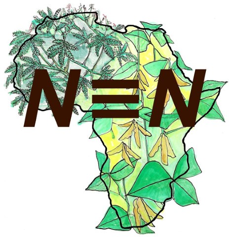 N2Africa logo