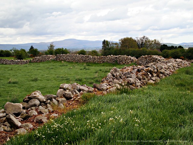 Earth and stone banks at Rathgall Hillfort, Wicklow, Ireland