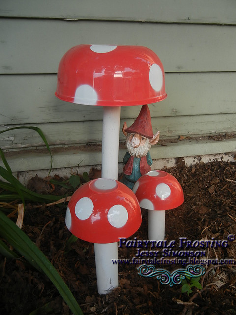 BLOG Mushrooms 3