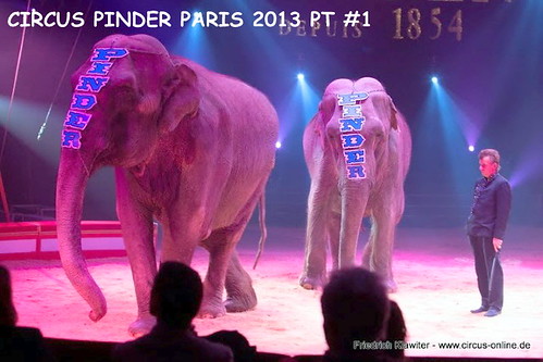 pinder paris 1213-100 (Small) by CIRCUS PHOTO CENTRAL