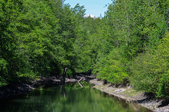 Maplewood Conservation Area