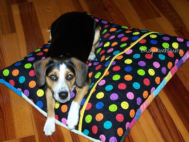 Lily's Quilted Dog Bed