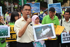 馬來西亞議員陳鴻彬手持儒艮圖片，證明當地確有儒艮存在，卻遭開發單位漠視。