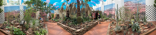 Cactus Show Panorama by Jeff.Hamm.Photography