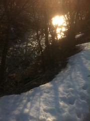 January 22, 2014 (Provo River Trail)