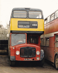 Mac's Bus Hire, Hoddesdon