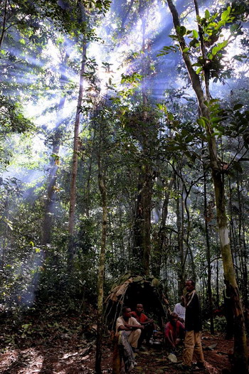 13.- Viviendo la selva - Pigmeos y Gorilas, un paseo por la selva centroafricana (5)