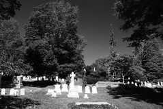 Mount Auburn Cemetery - June 2016