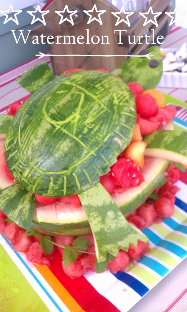 Watermelon turtle tutorial 