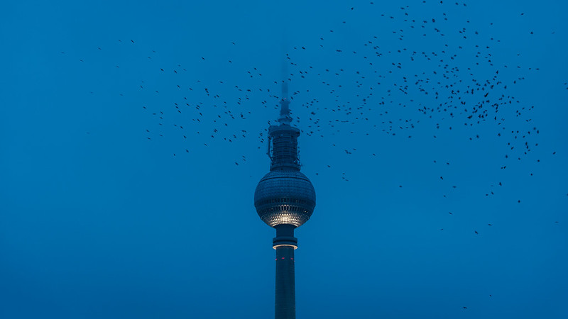 Berlin TV Tower.