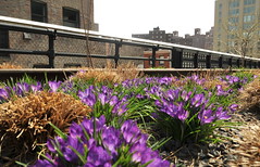Spring Afternoon @ The High Line 2014-04-13