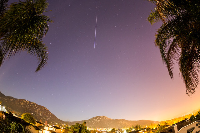 Geminids 2013. A Geminid meteor above the mountain and between palm trees in my backyard.