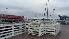 Independence Day Family Outing To Monterey, CA (July 2016)