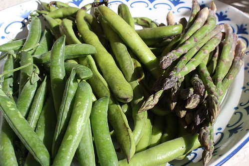 Peas, broad beans & asparagus
