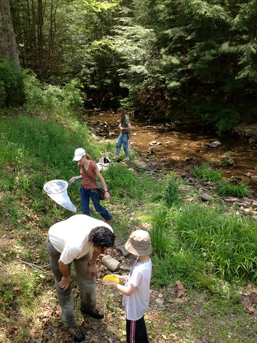 Frost curators sampling stream insects at Sinnemahoning State Park. 