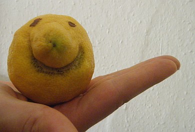 happy_lemon
