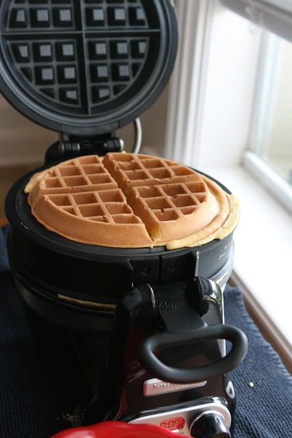 Løft dig op Smøre smog KitchenAid Pro Line Waffle Baker Giveaway / Review | The Hungry Housewife