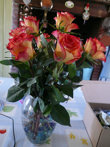 Roses from Barbara and Tim