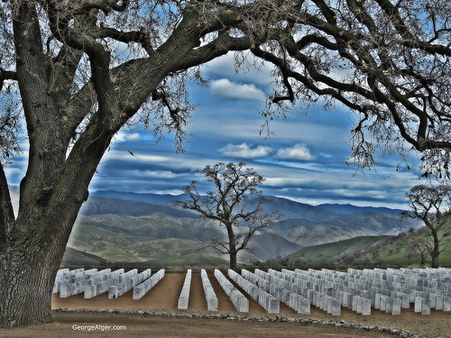 Bakersfield National Cemetery, by George Alger