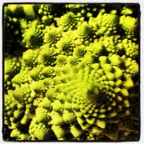 Edible fractals #waldorf #math #food #wholefood #csa #farmfreshtoyou