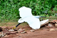 Sri Lanka Bird Paradise