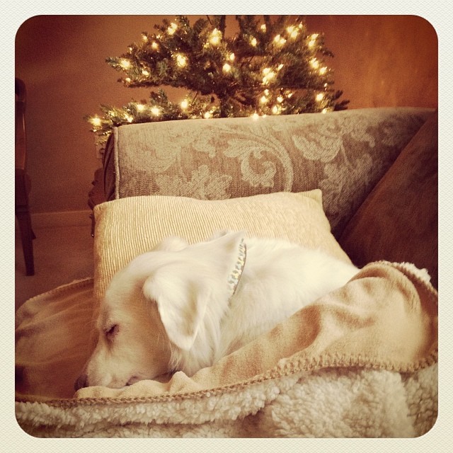 Tree Decorating is exhausting!