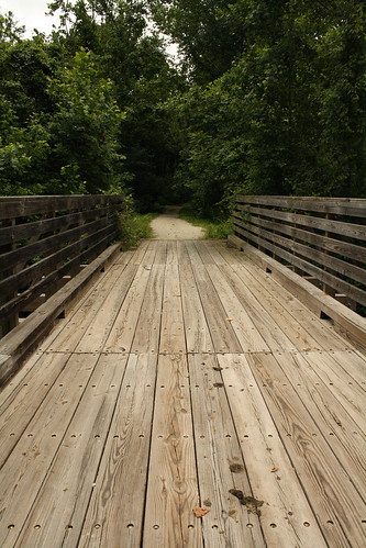 Piney River Trail
