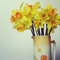It's #daffodilday today; flowers from the supermarket (for Australia Cancer Council fundraising) are a must have!