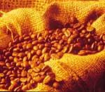 coffeebean