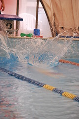 Nuoto 31 gennaio