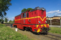 Schmalspurbahn Rogów–Biała Rawska