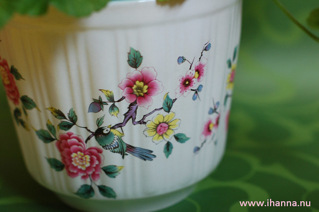 Thrifted Flower Pot