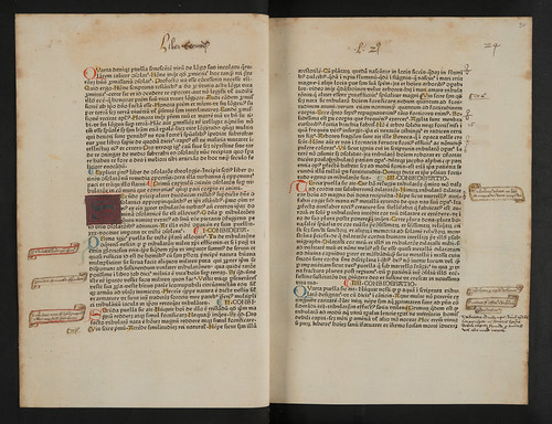 Annotations in  Johannes de Tambaco: Consolatio theologiae