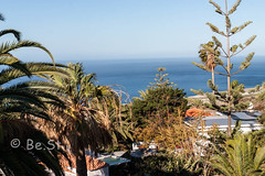 La Palma 2012