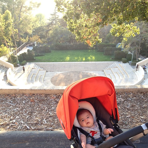 Evening stroll. It's been a while. Also, Luca is 100 days old today.