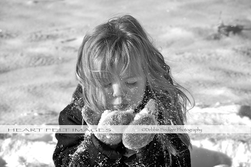 Snow angel DSC_3379 }Explored by Debbie Prediger Photography