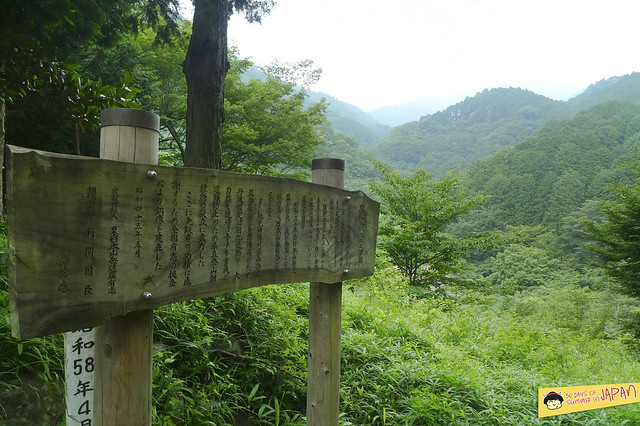 Hiking Mt. Nabewari - day trip from Tokyo 6